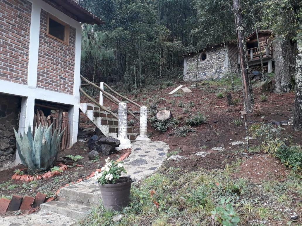 Cabañas Yoliztli Otel Zacatlán Dış mekan fotoğraf