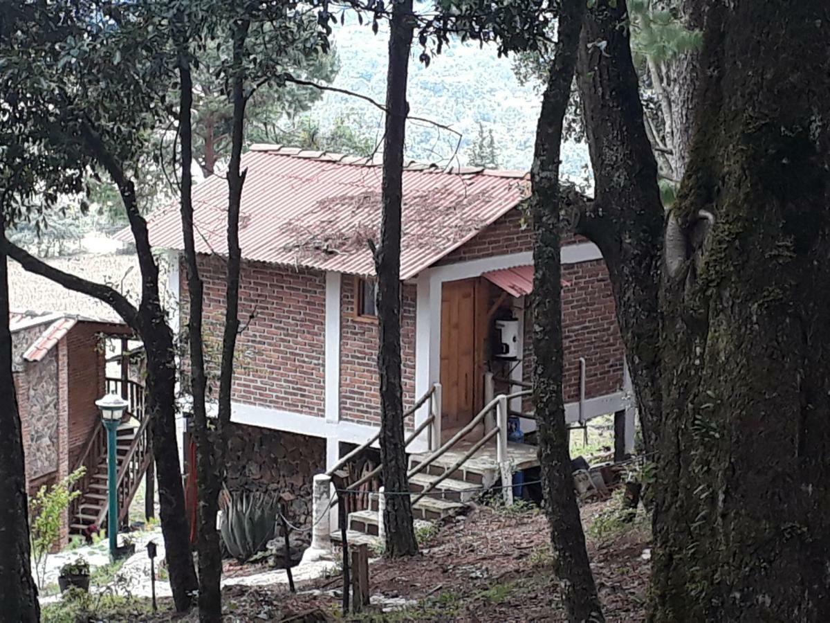 Cabañas Yoliztli Otel Zacatlán Dış mekan fotoğraf